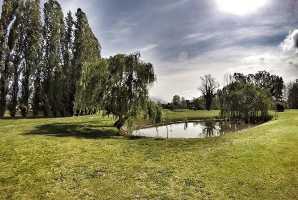 golf pietrasanta versilia