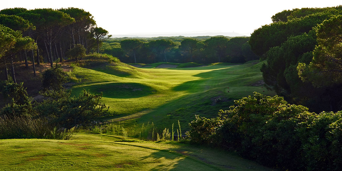 Golf Is Arenas